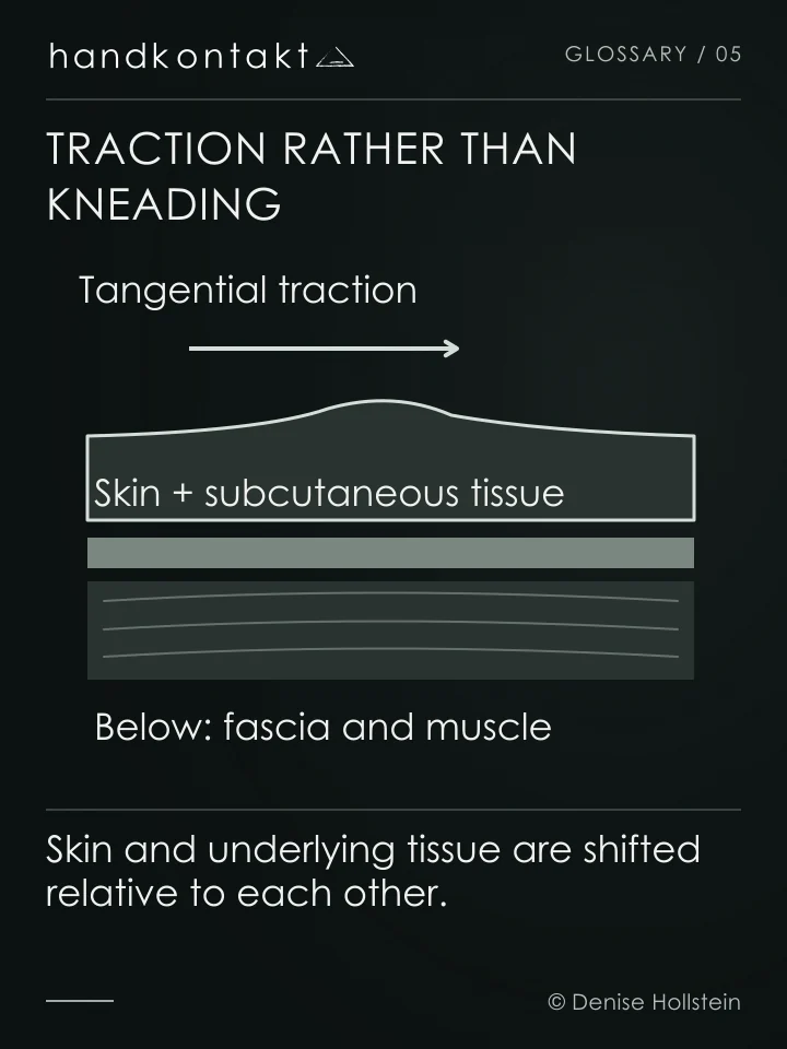 Schematic tissue section: tangential traction shifts skin and subcutaneous tissue above the deeper muscle.