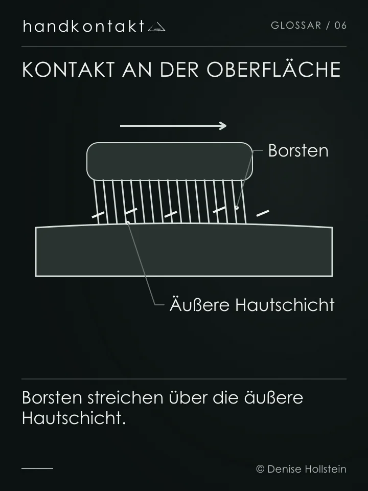 Borsten bewegen sich über die Haut und können lose Hornschüppchen ablösen. Die Grafik zeigt keinen Abtransport von Giftstoffen.