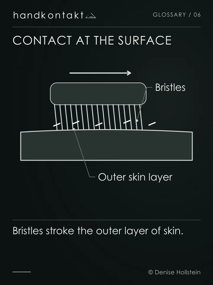 Bristles move over the skin and may remove loose dead skin cells. The diagram does not depict toxin removal.