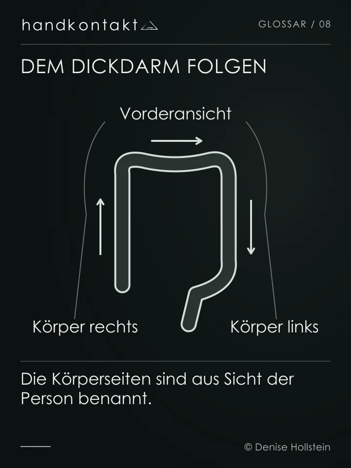 Vorderansicht des Dickdarms: aufsteigend rechts im Körper, quer durch den Oberbauch und absteigend links im Körper. Pfeile erklären den Verlauf, keine Selbstbehandlungsanleitung.