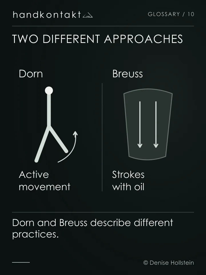 Dorn combines manual work with active movement. Breuss uses calm strokes and oil on the back. No joint realignment or disc regeneration is depicted.