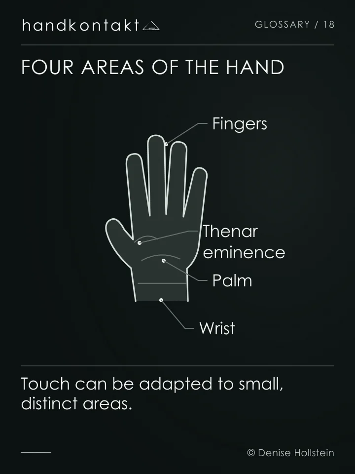 A palm with four labelled areas: fingers, thenar eminence, palm and wrist. No organ reflex zones are shown.