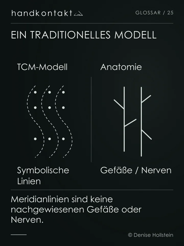 Eine abstrakte Linienkarte steht für das TCM-Modell der Meridiane. Daneben werden Blutgefäße und Nerven als anatomische Strukturen abgegrenzt; die Linien sind keine Punktkarte.