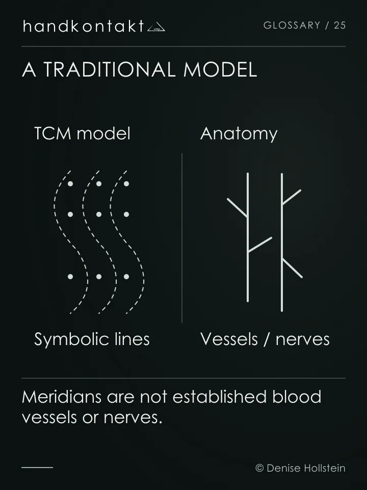 An abstract line map represents the TCM meridian model. Blood vessels and nerves are distinguished as anatomical structures; the lines are not an acupoint map.