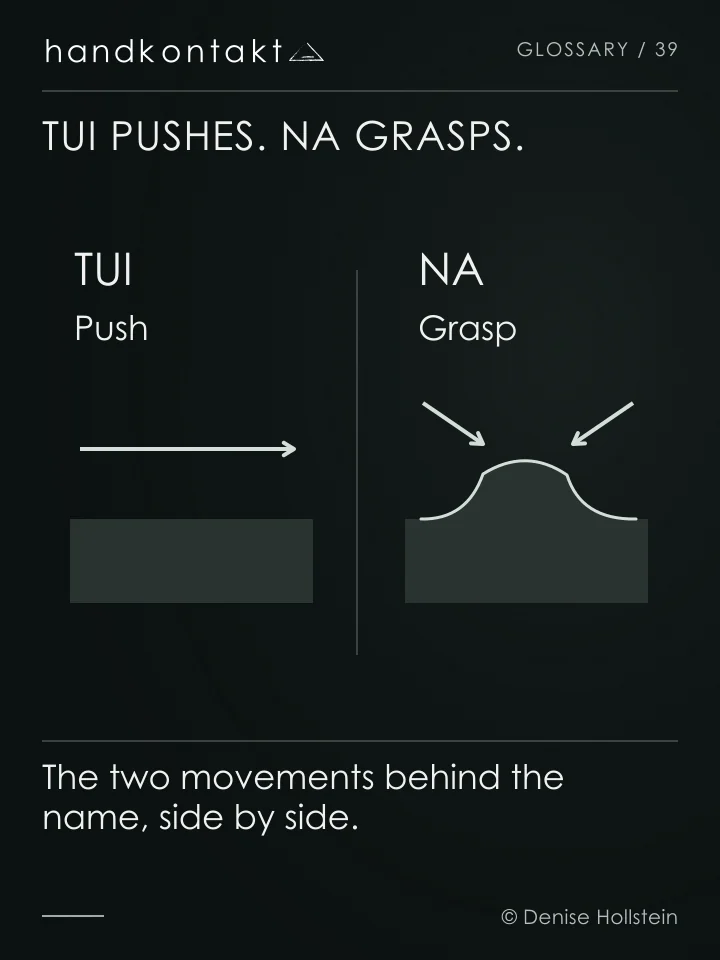 A sideways arrow represents Tui, pushing; converging arrows represent Na, grasping. Tuina includes other techniques.