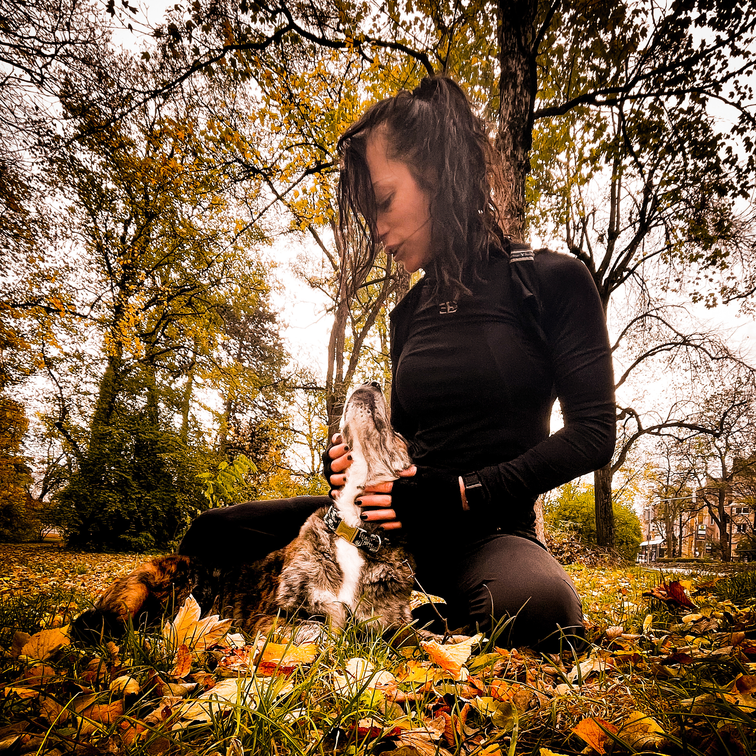 Warm-up run with Doggy